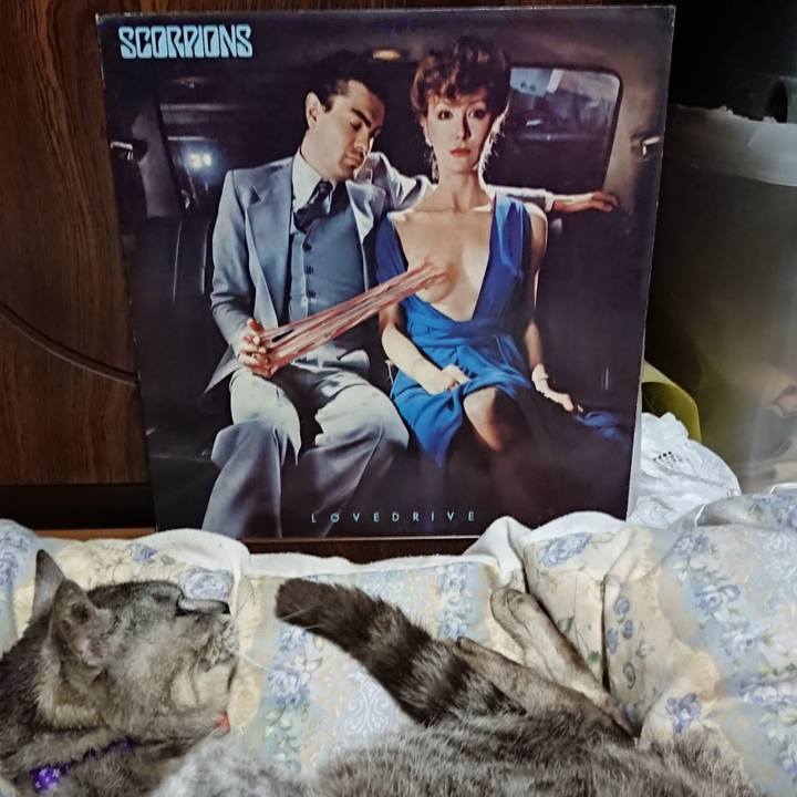 5a06cdac 91cc 4fb0 83d6 c3f6e1acd8fa 1595938237483