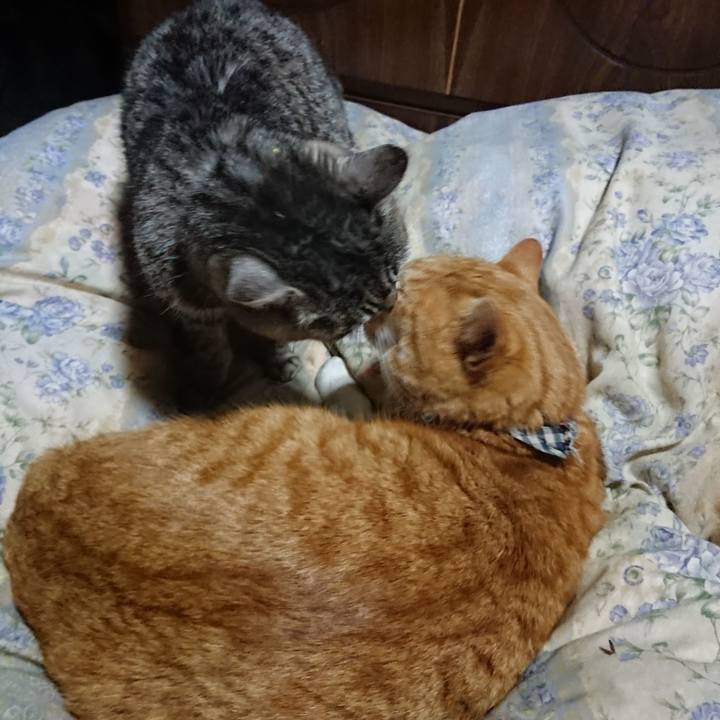 5a06d7ad d76b 47c5 a09f 772cee7574e0 1575980571354