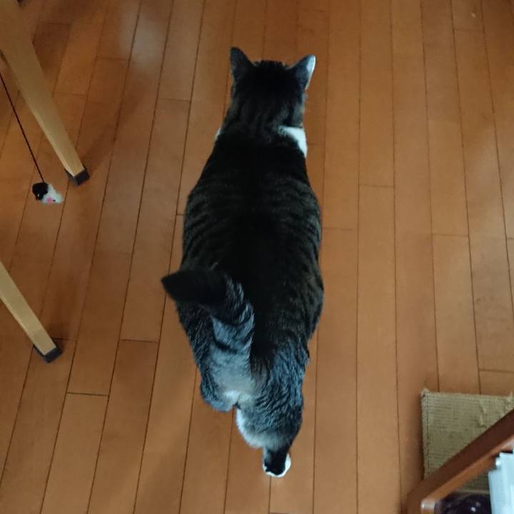 5a06fac6 b772 452a 8c97 1733ce67c6fa 1546869508332