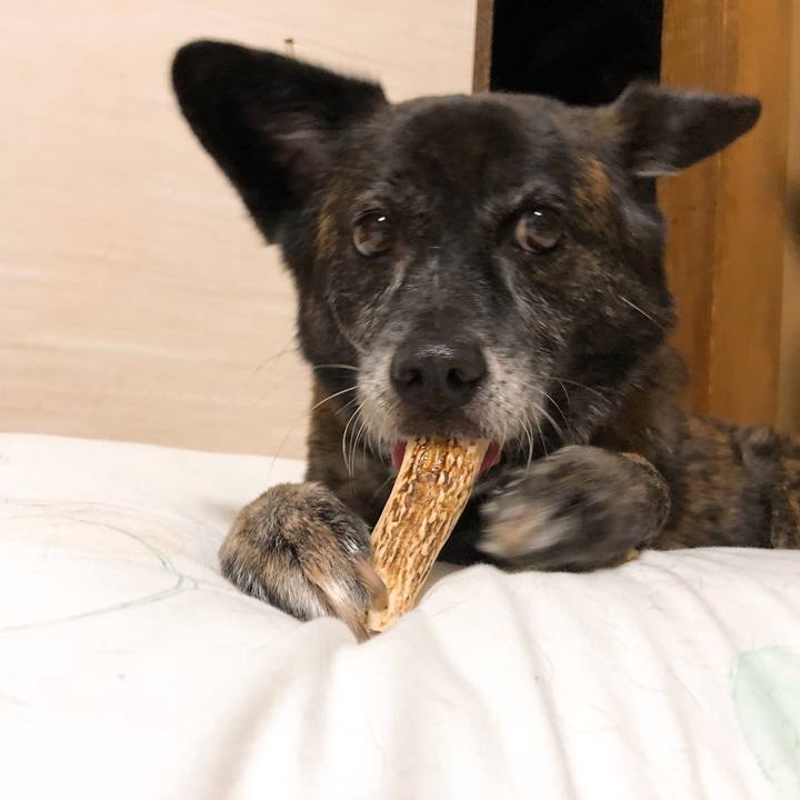 5a072db5 d022 4a86 829a c6933eed28eb 1595164122542