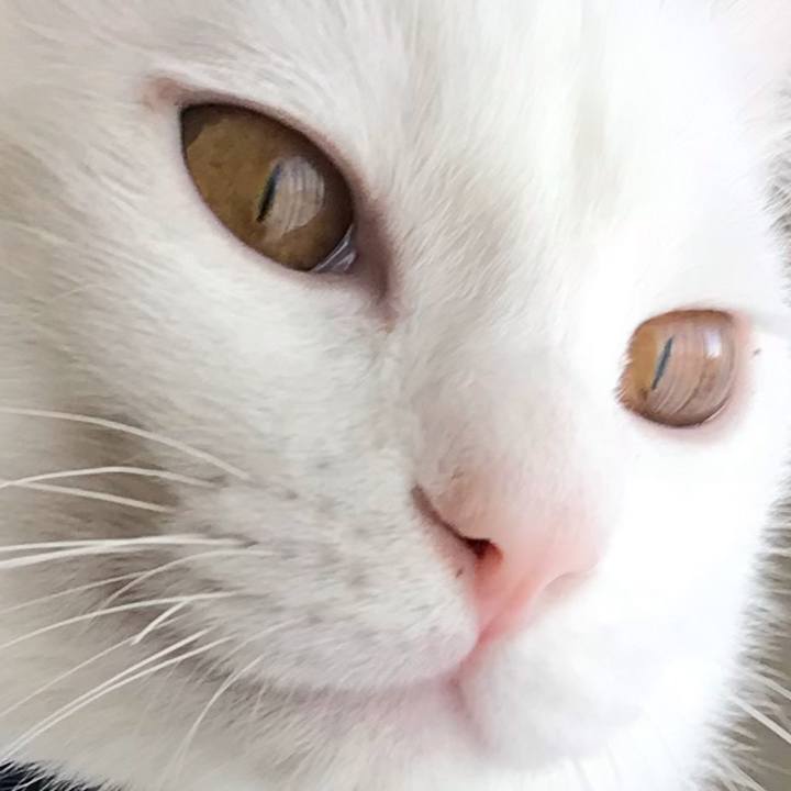 5a073e57 0bf1 4039 9ee5 5984c36efeed 1576845920773