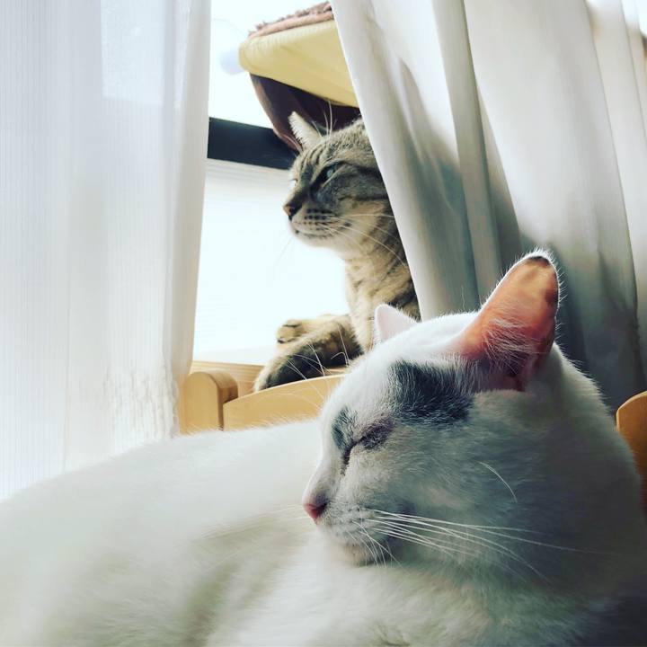 5a076a02 cb57 4d74 887f 3ccdeadd5636 1535756721672