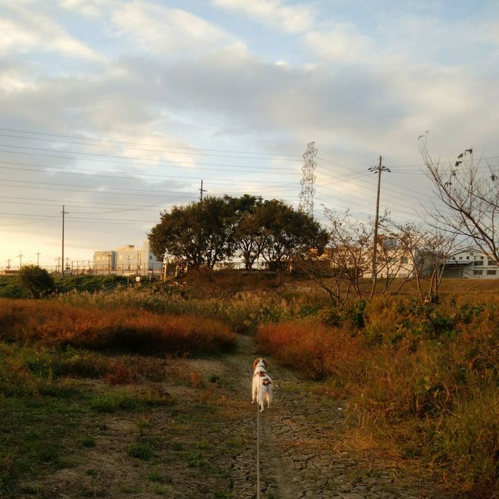 5a076f33 e92c 4679 b8c6 da09e804b4a2 1541417544845