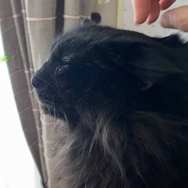 5a078b27 bf68 44b3 b225 e430b8578e4e 1577272031272