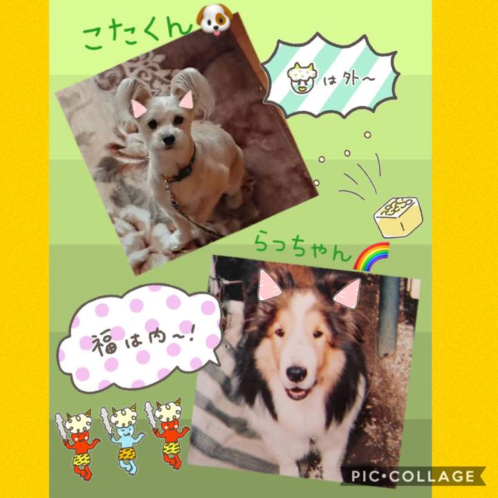 5a07aa9b bd43 4059 aba8 d5db0849bad2 1549197900103