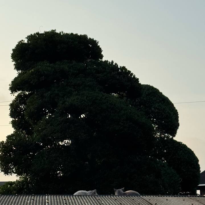 5a07b170 1aea 4e58 ab98 08db2a8ec42c 1784083258879