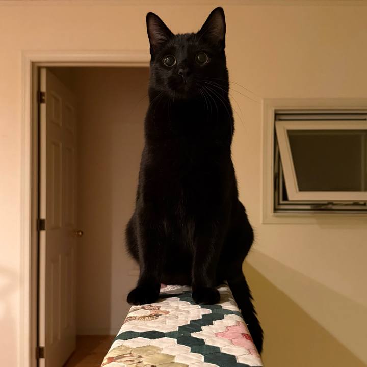 5a07b6c1 3e60 41f8 abb8 ce06e48cd508 1773924987742