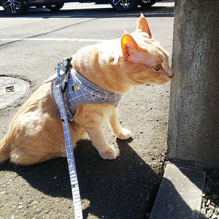 5a07d106 e152 4886 a708 95034881d4fb 1665201614504