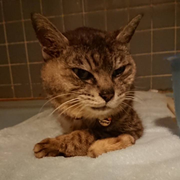 5a07d1da cfe2 4c89 883d f20786e0a86e 1597055566803