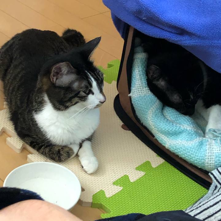 5a07d246 820b 4d50 9bd2 dcb495d78714 1547373782026