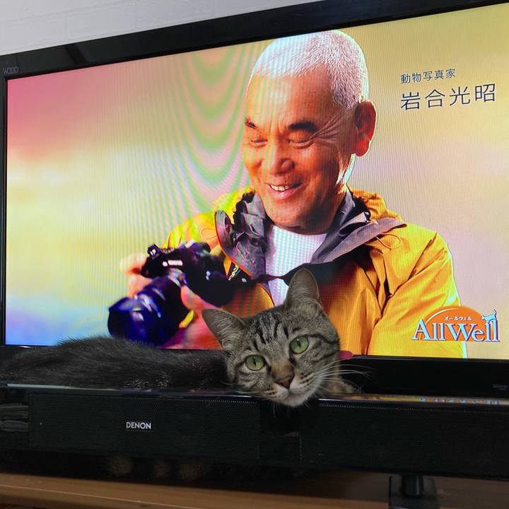 5a07d879 79b1 4e09 84f7 bf29511eb596 1594544664499