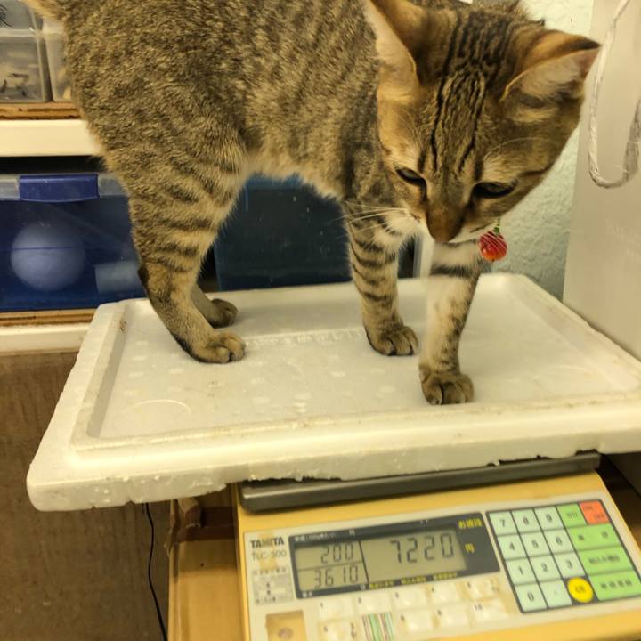 5a083b6a 373f 4527 8d70 dfc2ddba9486 1606018675732