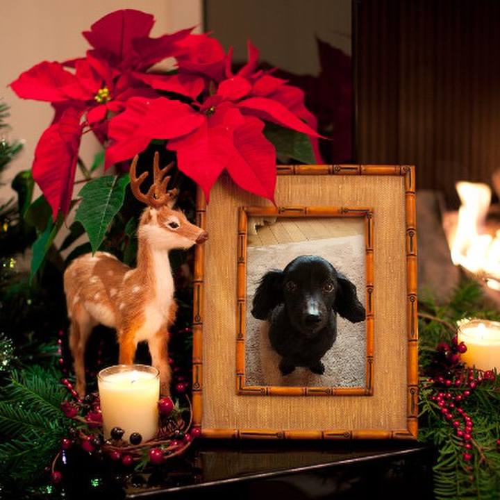 5a0850f1 7dbe 4958 8474 67e72cc5220e 1608802058295