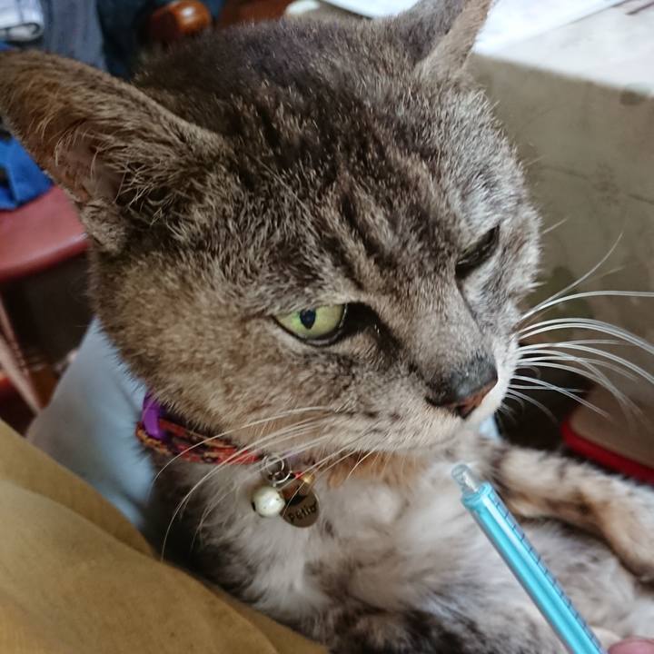 5a0876cb 9539 4d07 8736 253221ad553f 1596668373071