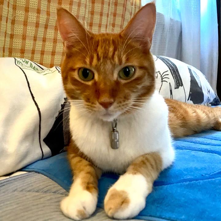 5a0885e1 5a5c 475f 8b69 cfb45a91f848 1628343602607