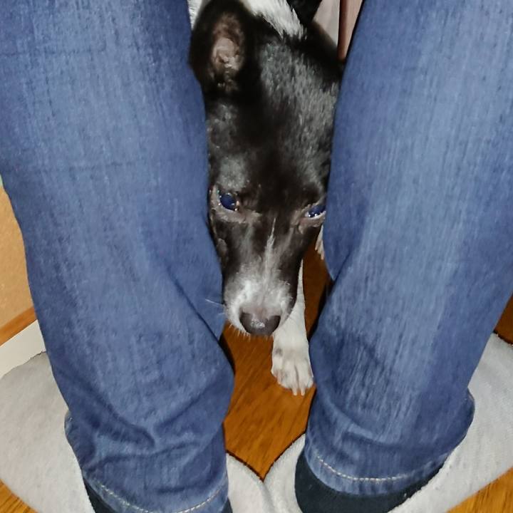 5a08b601 4200 4108 96f9 71878a3cde28 1510751480671