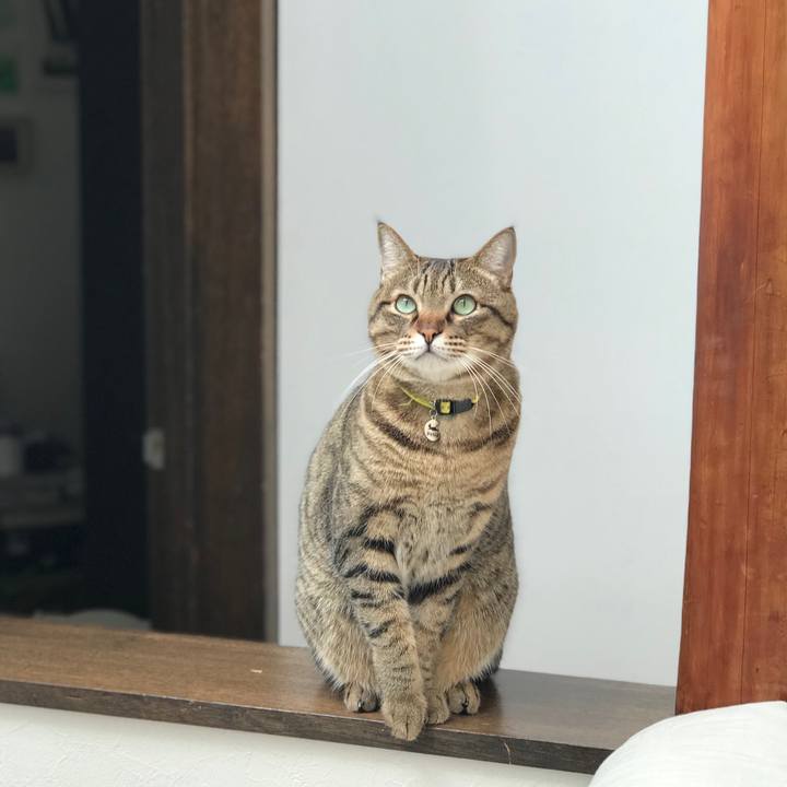 5a08bd3f 3eb1 4b44 a116 63df3e4f72f7 1540518278327