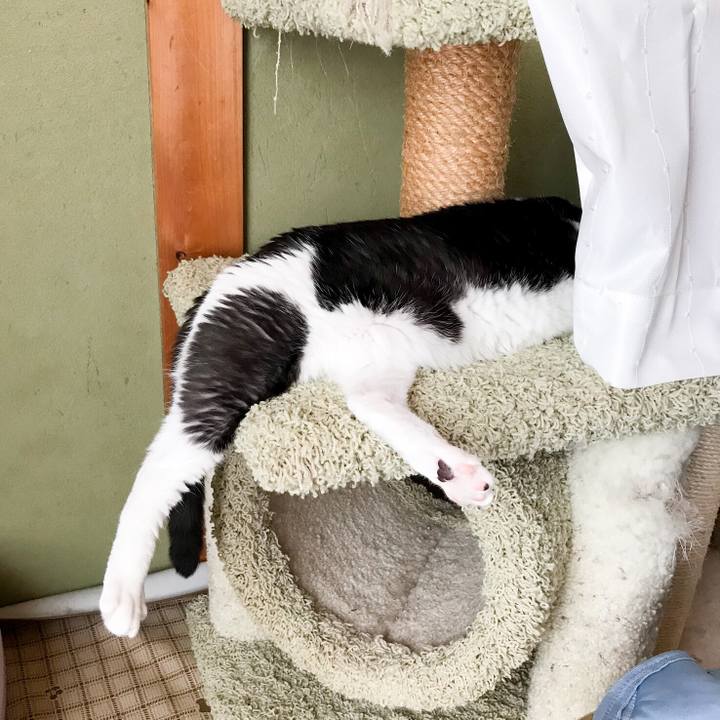 5a08f205 a896 4aae bcc2 4a8d621ff302 1535032288001