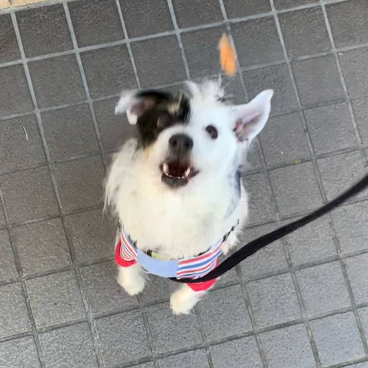 5a09099c a83e 42e9 8c3b bb0dcb80d2e5 1708909204675