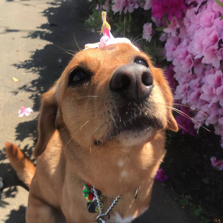 5a0921de f2b1 4916 8933 04824cc80509 1557354725642