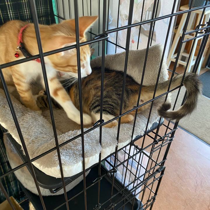 5a095d62 c4b4 494d 8cc7 d3ae18ea1972 1728548828878