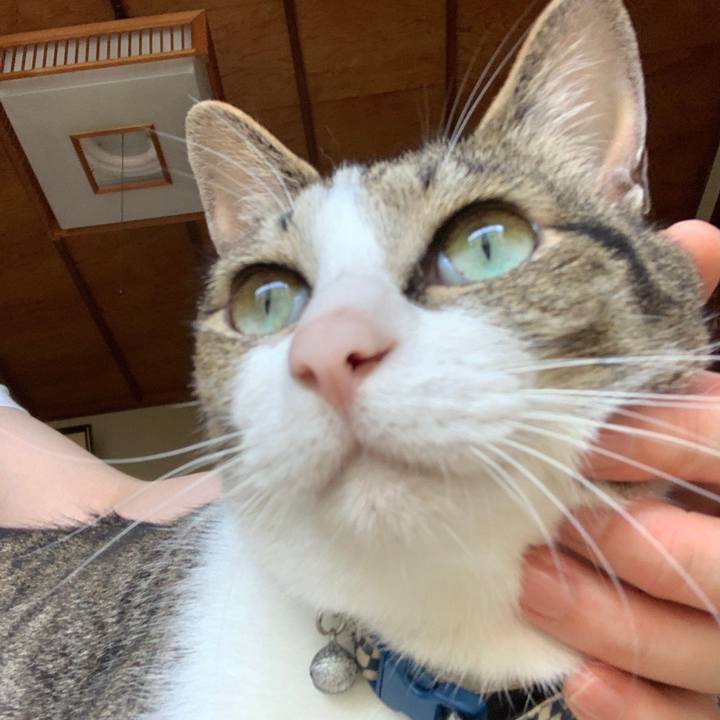 5a098618 234a 45d2 92c9 332baf34ae11 1563539825393