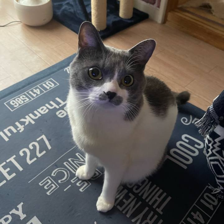 5a09d7bc 7700 4dec b285 bdce7ecd50a4 1713907896567