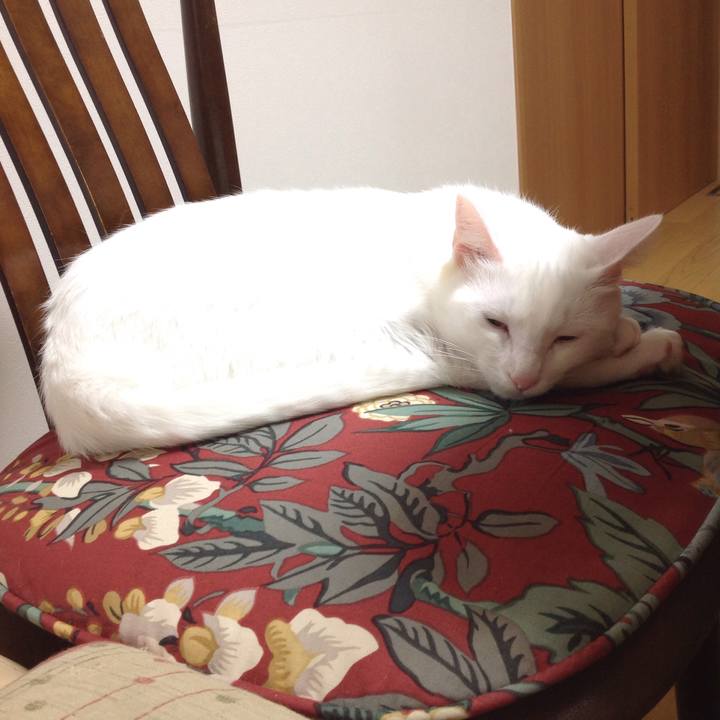 5a09e40d a78b 44b5 9be1 5ce304ef679c 1639005678985