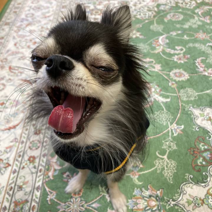 5a09e5b0 d84c 46f0 af20 1a577b03c53c 1667660253060