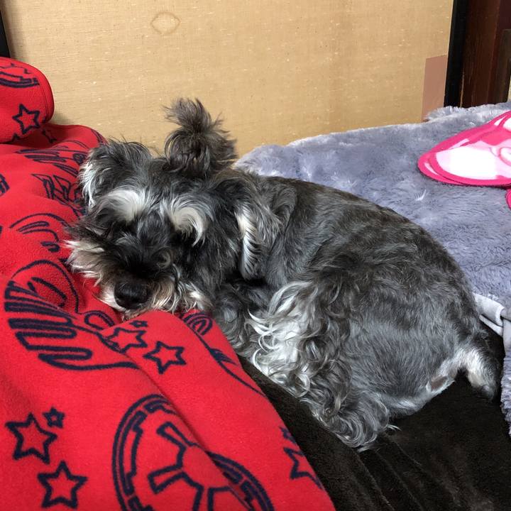 5a0a123e 8dc9 43bc 9085 49a02c4fed88 1570874861684