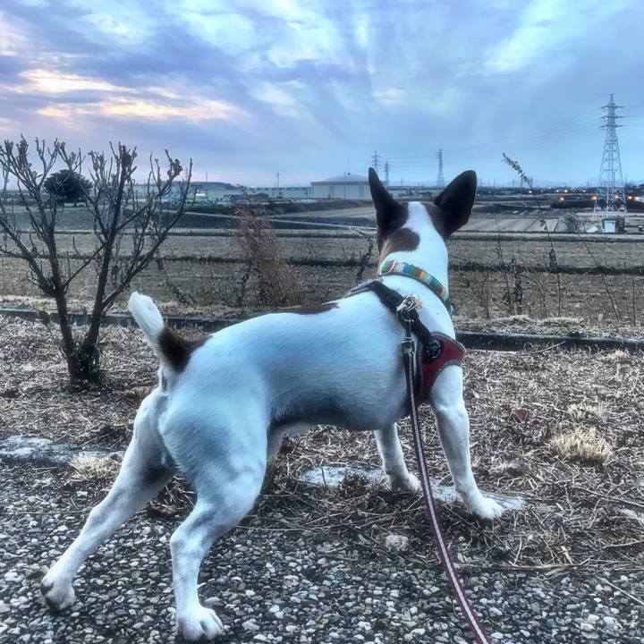 5a0a1732 e11d 4ada ac91 227859f65c40 1515327803870