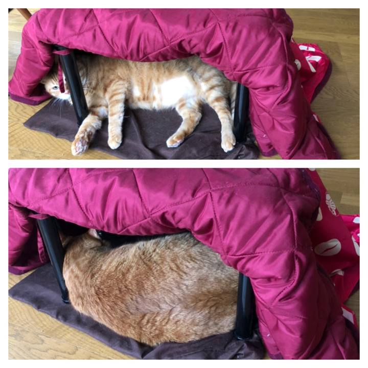 5a0a4b55 2f83 47f6 8560 d4bfd8af1456 1623790551075