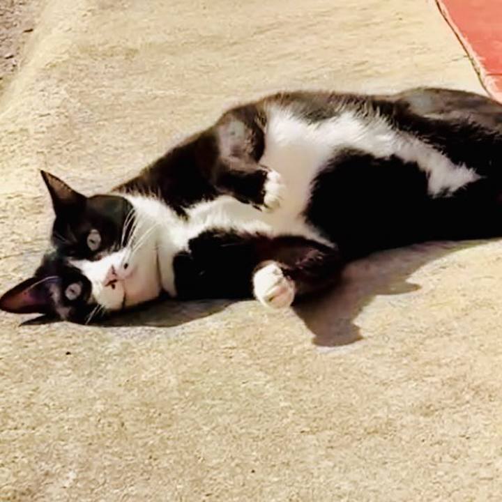 5a0a52cf 7c9d 4db5 b9ff bdbbc5b3eb86 1769397029377