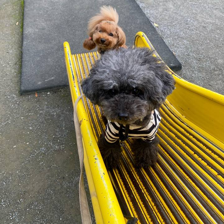 5a0a5cac 5fc6 47b0 9739 0ab923d9dabd 1602454911726