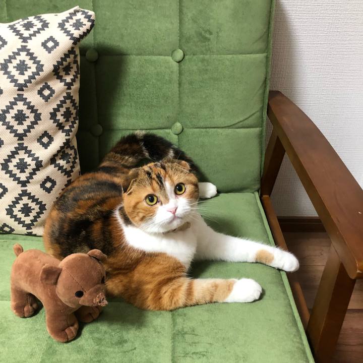 5a0a7505 8982 4b03 b5f9 220523ede98e 1529574363712