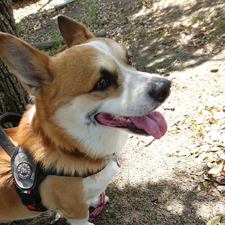 5a0a845c 916f 4e56 bbc1 18a4db44f5ce 1620016912718