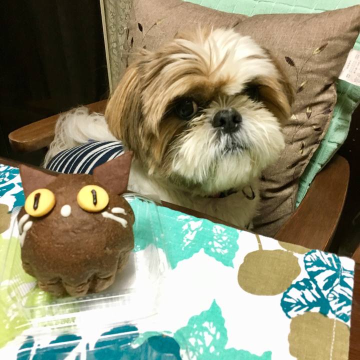 5a0aa94f fd4f 4bc1 a4c2 cced1f7cf521 1509449425189