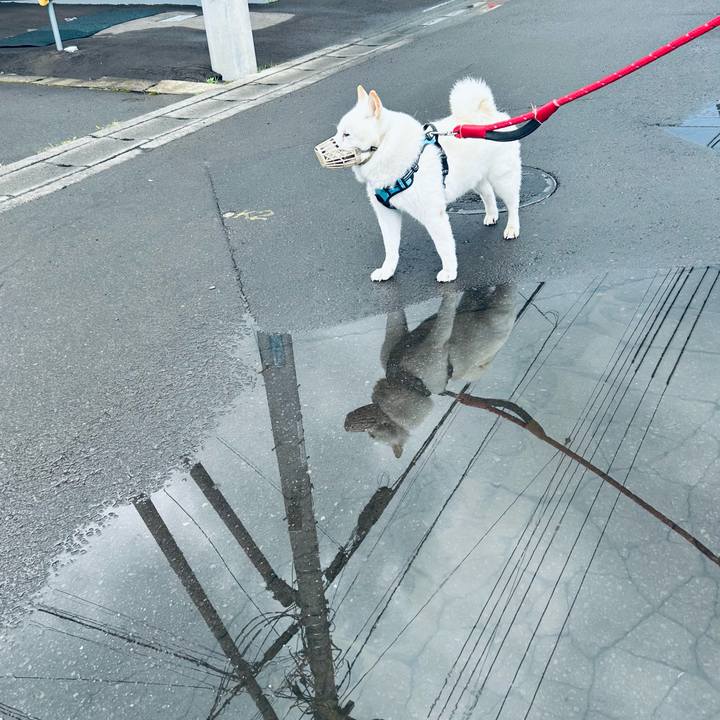 5a0ade26 39cf 4e88 b149 c5ea29ba66cd 1721596065651