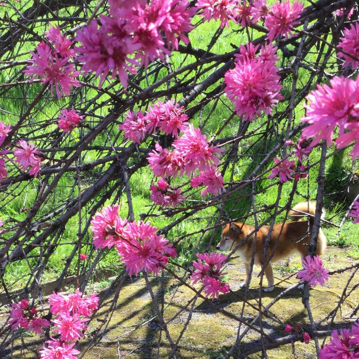 5a0ae93f 766a 4a80 a93f 18818e986115 1555380629527