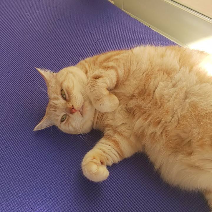 5a0b1906 344f 4835 9078 60cb2e356e2c 1572582331594