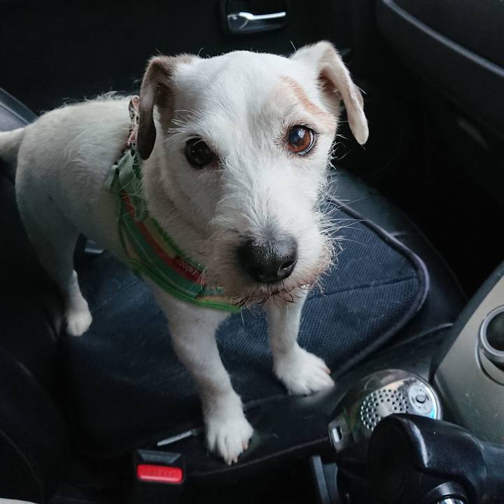 5a0b2f28 0ceb 4973 91ad d4da30f31363 1585729511637