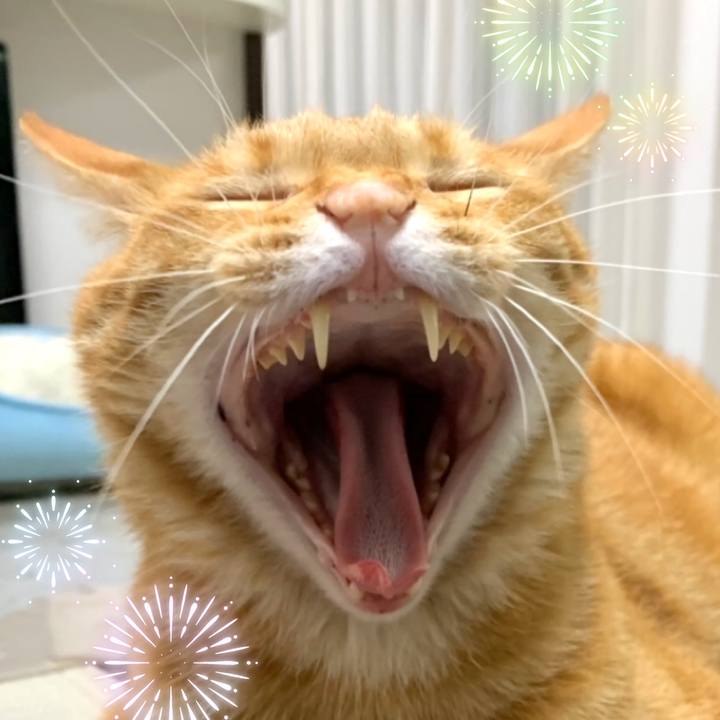 5a0b3b7a 5117 4137 8f7a 72825ae0577b 1564522402521