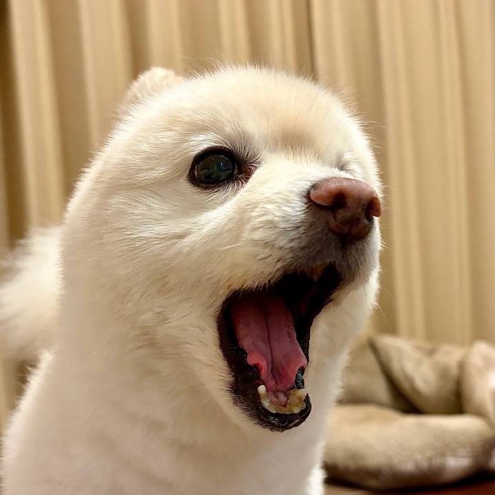 5a0b531f c7b7 4081 9e8f 74f1c99e7a7a 1779542667228