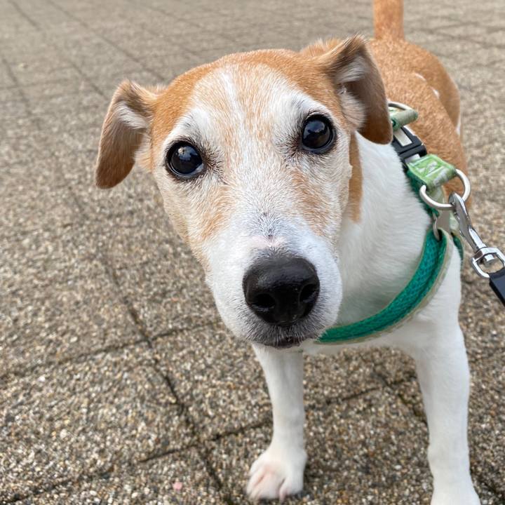 5a0b968f 1540 41c3 8ffb 9a6e94735b0c 1603319954623