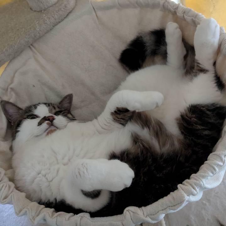 5a0bae00 96f3 4389 ba27 490efb23e24c 1720944672263