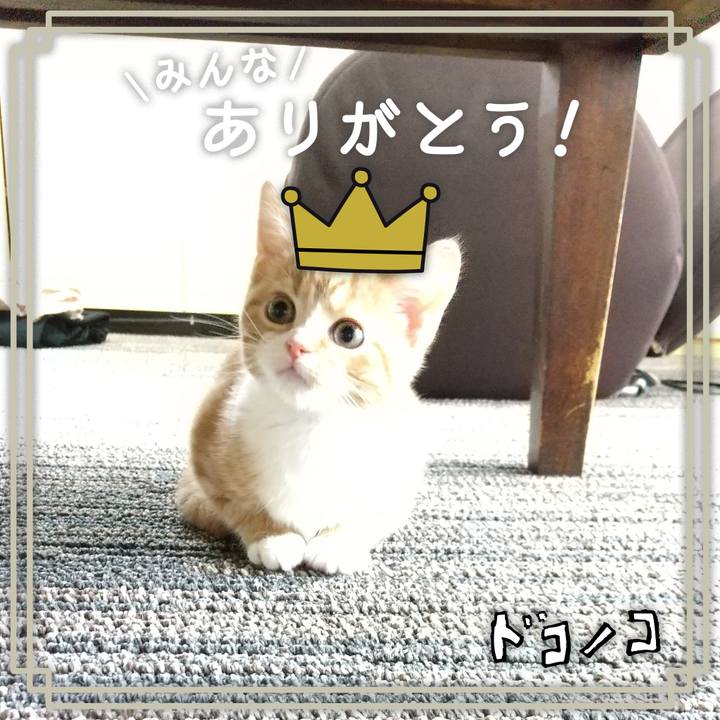 5a0be2f5 2be8 4c17 9222 673cf9993a4f 1622981881514