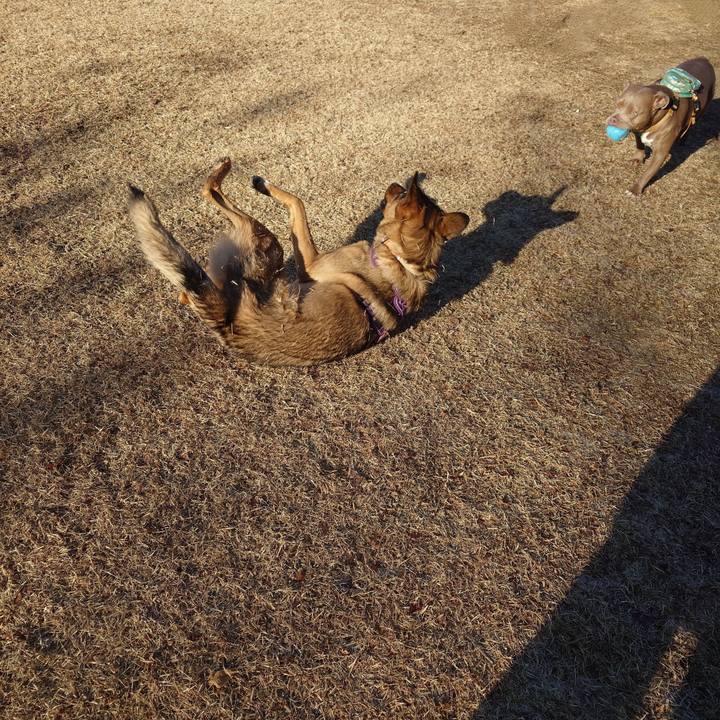 5a0c281c cbff 406b bdb7 08ffa3e04038 1736559063657