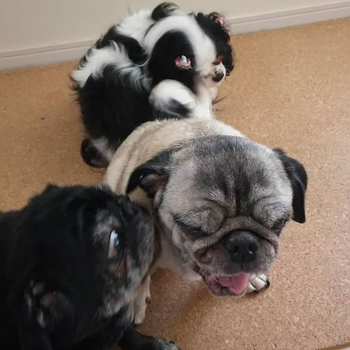 5a0c34c0 93ec 41c1 bbdf c197709a43c3 1580413308473