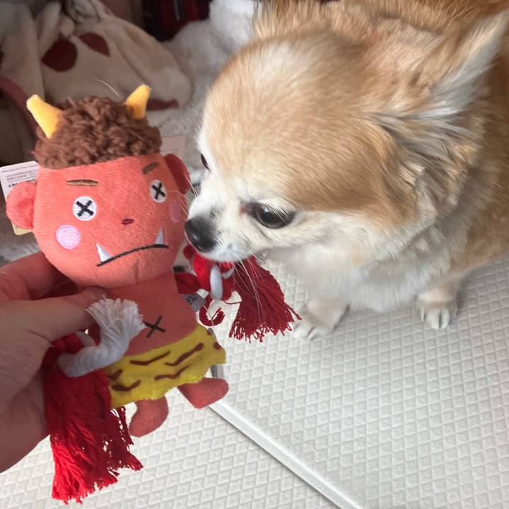 5a0c3558 48d9 433d 8fa9 1ecf82fde1b4 1766281494146