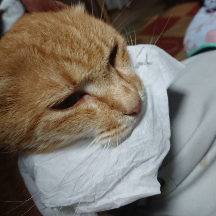 5a0c5159 6256 4f90 8d26 d10c5c966e4a 1594027502397